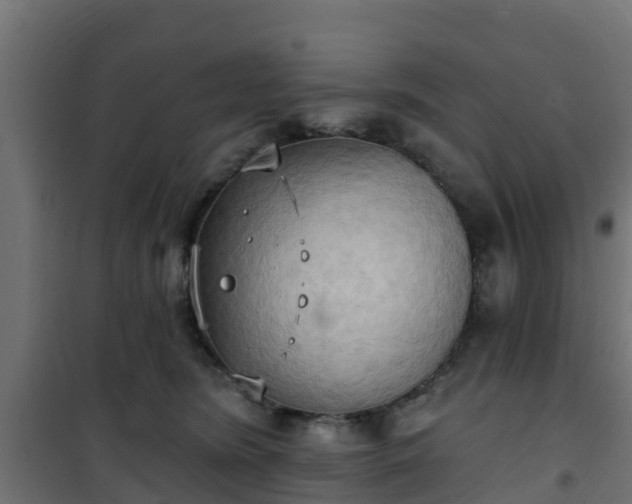 X0000101210420200807071343