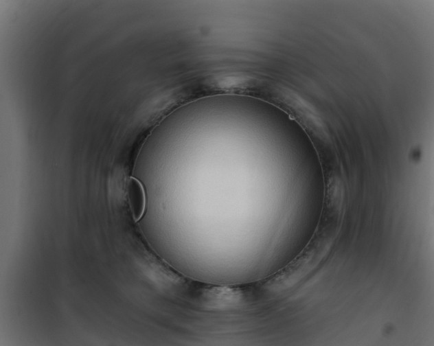 X0000101210421200807071343