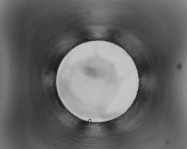 X0000101210423200807071343