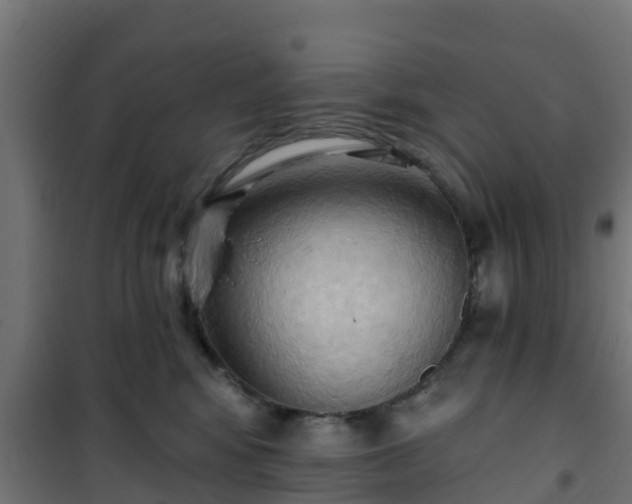 X0000101210424200807071343