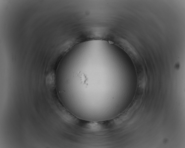 X0000101210425200807071343