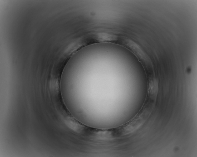 X0000101210426200807071343