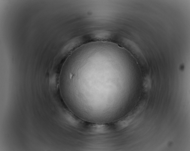 X0000101210428200807071343