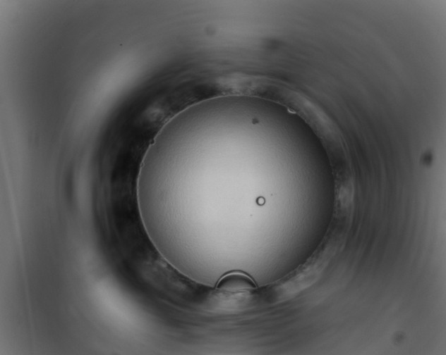 X0000101210429200807071343