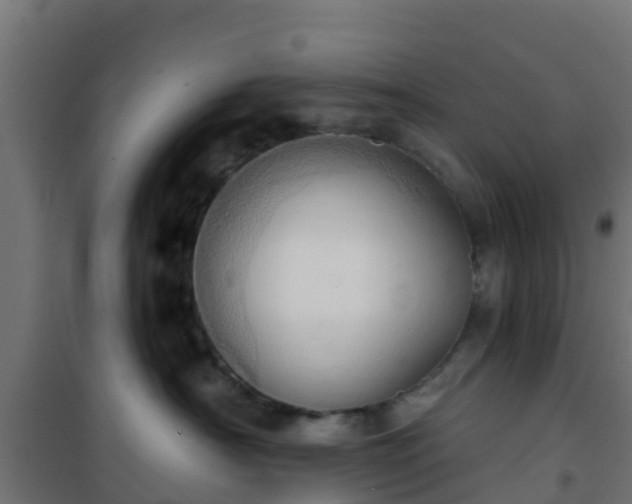 X0000101210430200807071343