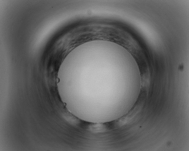 X0000101210431200807071343