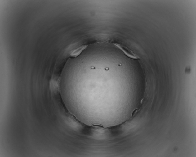 X0000101210432200807071343