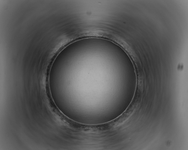 X0000101210434200807071342