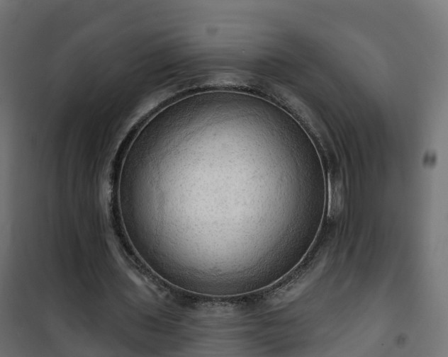 X0000101210435200807071342