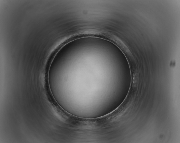 X0000101210436200807071342