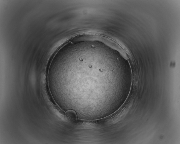 X0000101210437200807071342