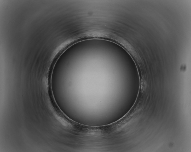 X0000101210438200807071342