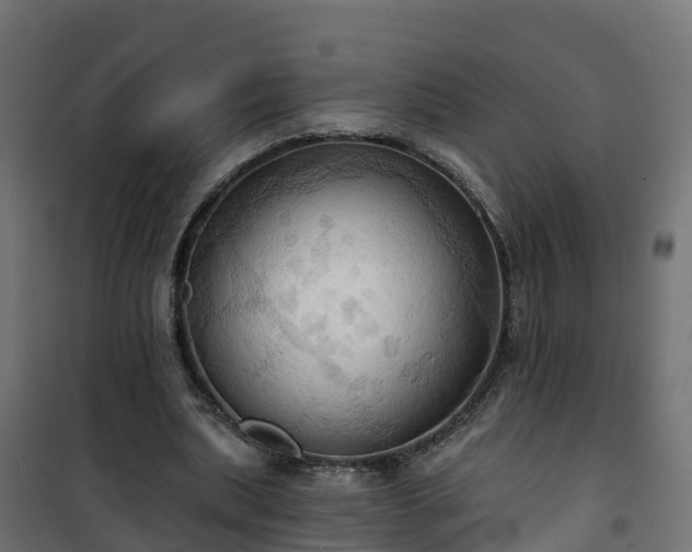 X0000101210439200807071342