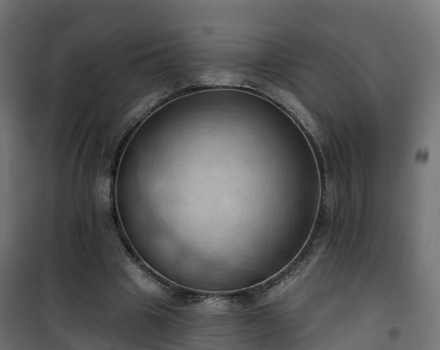 X0000101210441200807071342