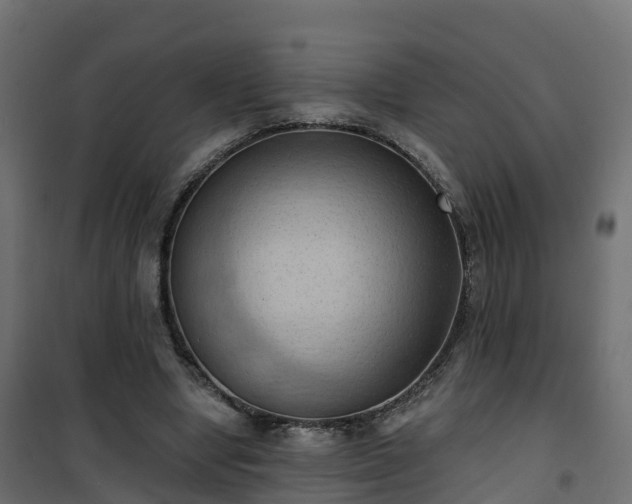 X0000101210442200807071342