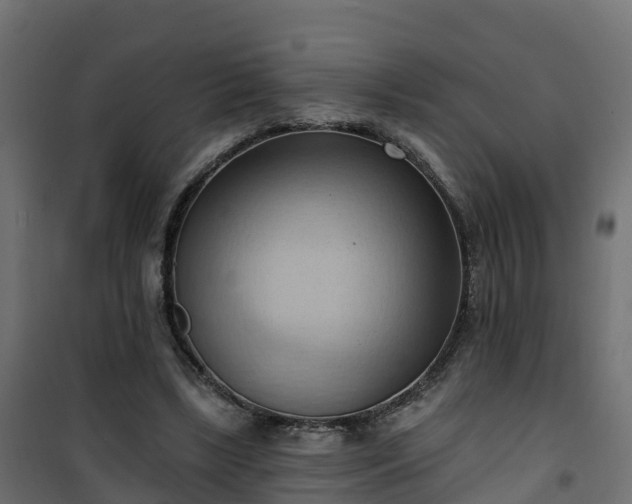 X0000101210443200807071342