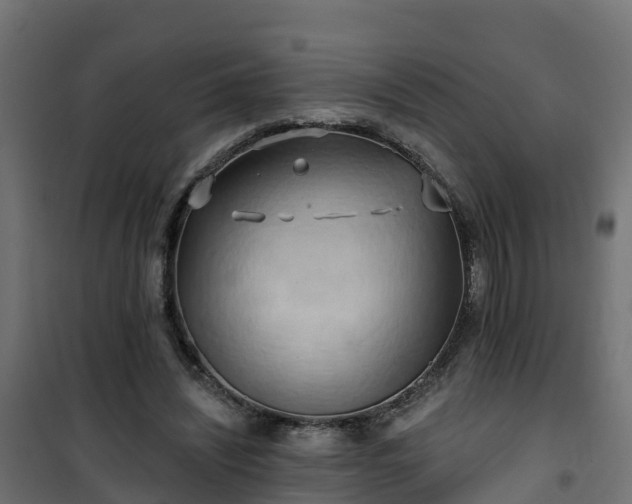 X0000101210444200807071343