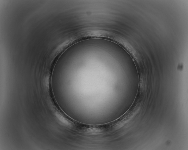 X0000101210445200807071343