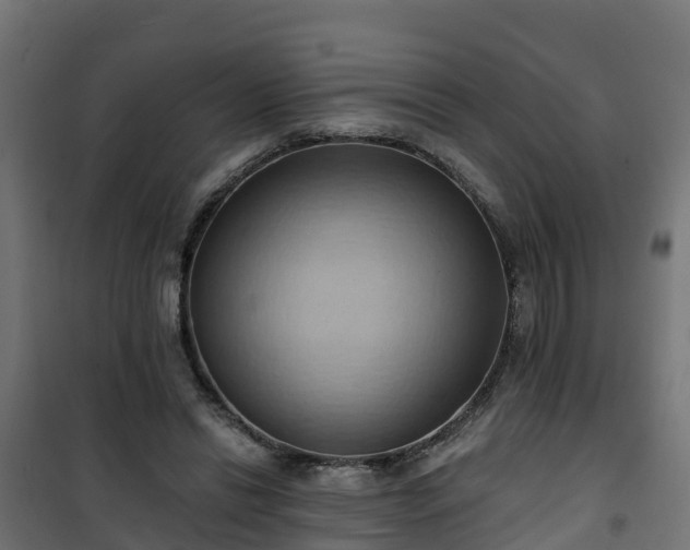 X0000101210446200807071343