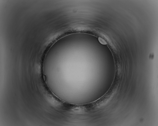 X0000101210447200807071343