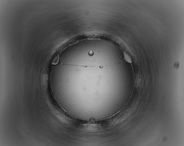 X0000101210448200807071343