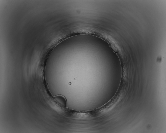 X0000101210449200807071343