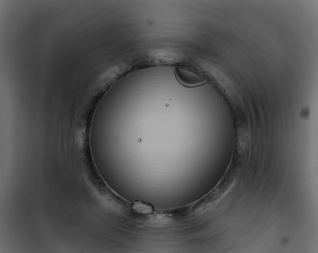 X0000101210451200807071343