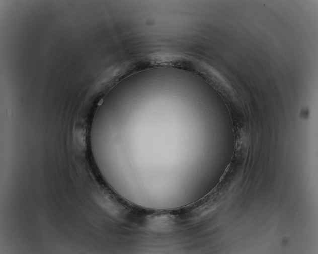 X0000101210452200807071343