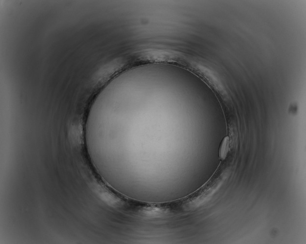 X0000101210453200807071343