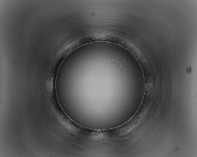 X0000101210454200807071343