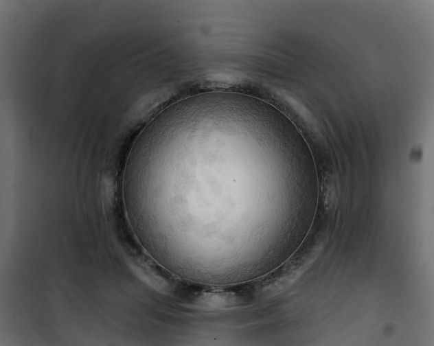 X0000101210455200807071343