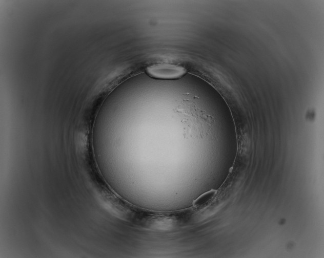 X0000101210456200807071343