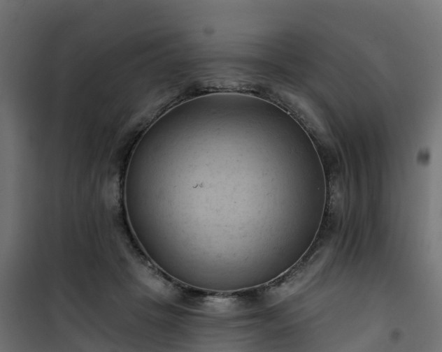 X0000101210457200807071343