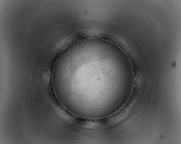 X0000101210458200807071343