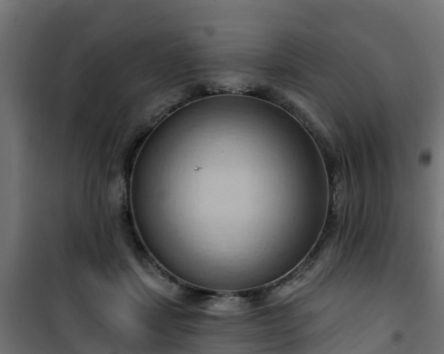 X0000101210459200807071343