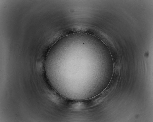 X0000101210460200807071343