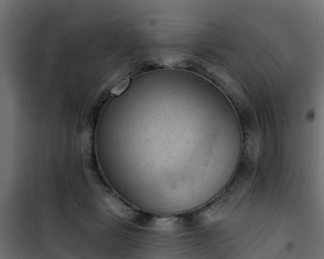 X0000101210461200807071343