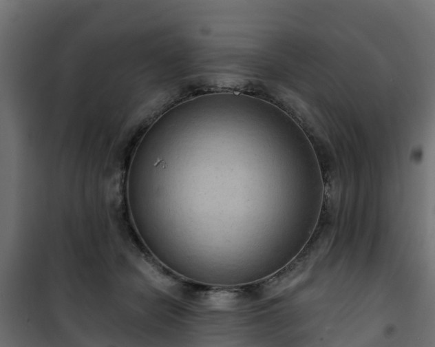 X0000101210462200807071343