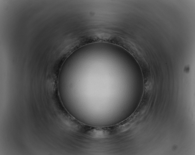 X0000101210464200807071343