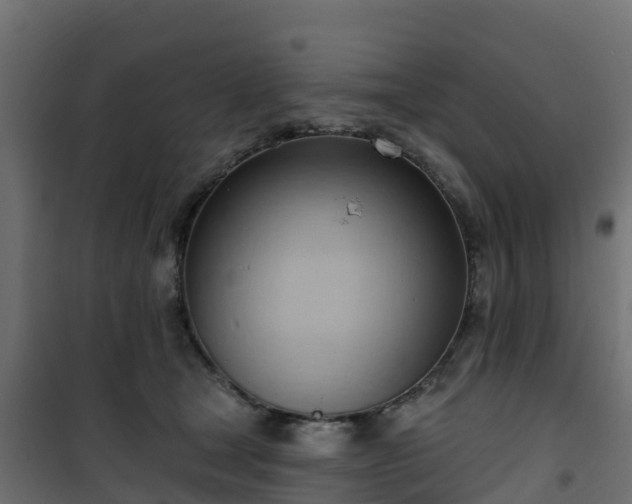 X0000101210465200807071343