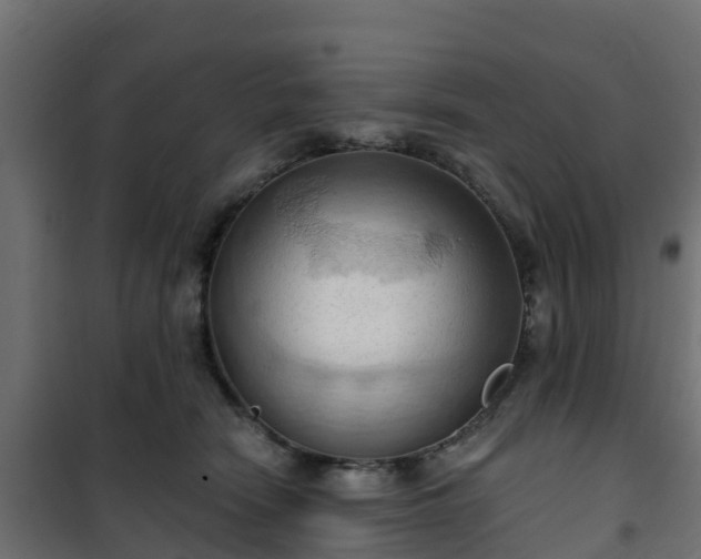 X0000101210466200807071343