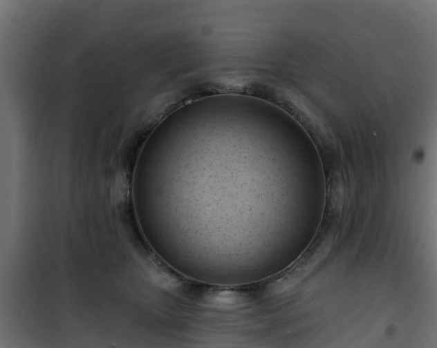 X0000101210467200807071343