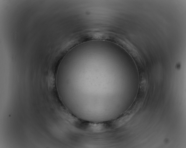 X0000101210469200807071343