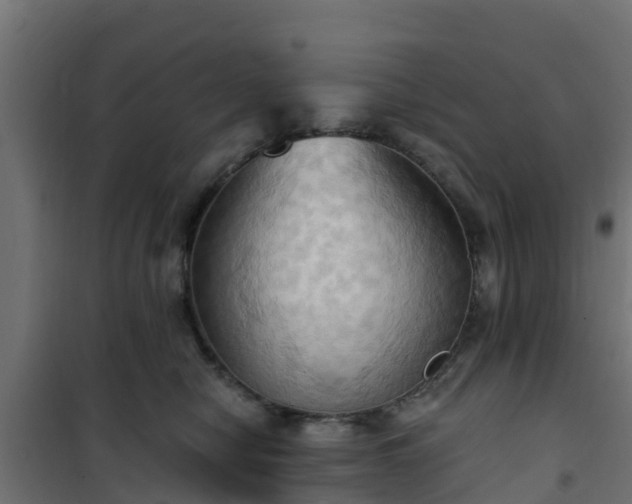 X0000101210470200807071343