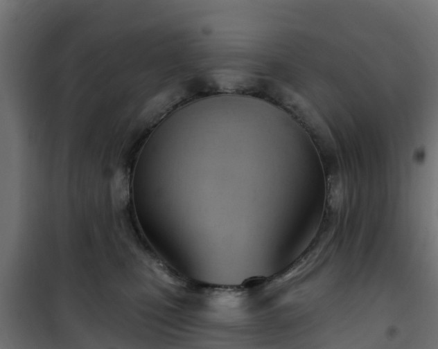 X0000101210471200807071343