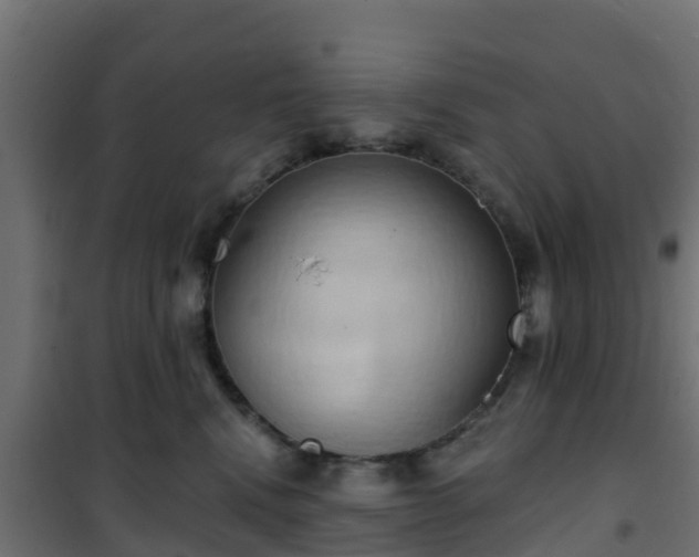 X0000101210472200807071343