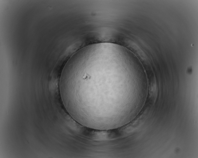 X0000101210473200807071343