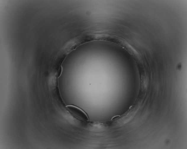 X0000101210475200807071343