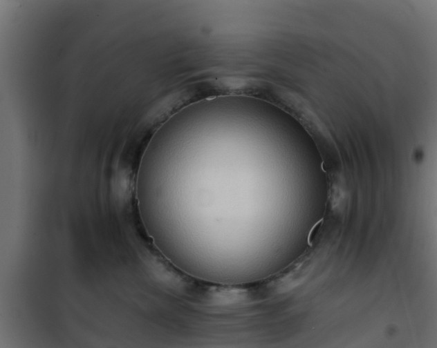 X0000101210476200807071343