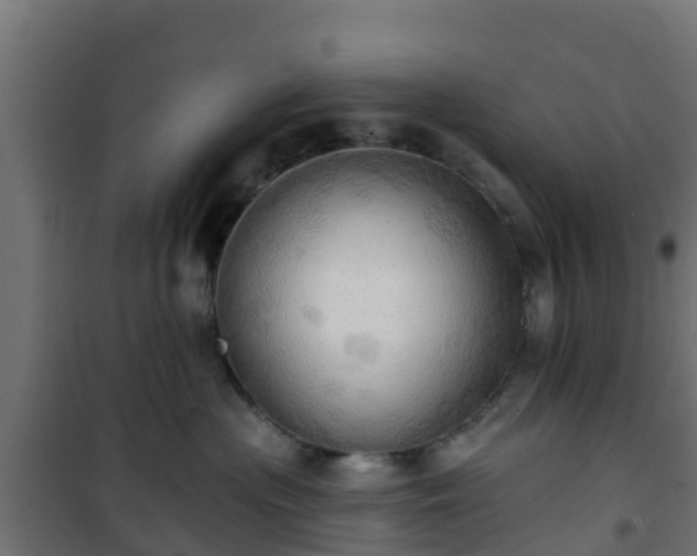 X0000101210477200807071343